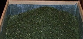 茶葉 茶箱入り